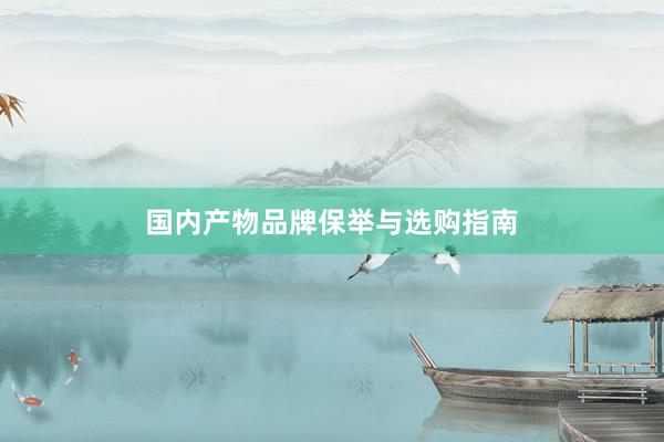 国内产物品牌保举与选购指南
