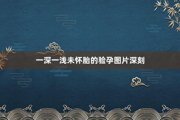一深一浅未怀胎的验孕图片深刻