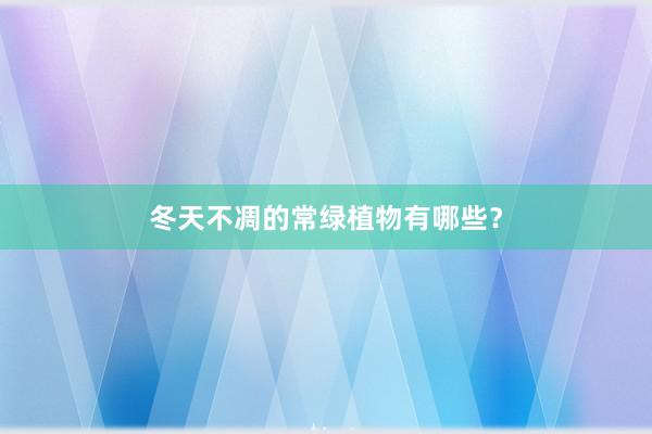 冬天不凋的常绿植物有哪些？
